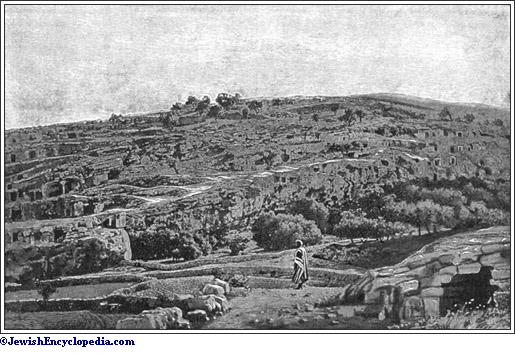 achan-in-i-chron-ii-7-achar-probably-from-achor-the-valley-mentioned-in-josh-vii-26